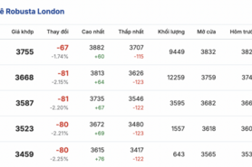Giá cà phê hôm nay 9/2/2026: Đi ngang phiên đầu tuần