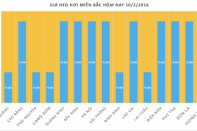 Giá heo hơi hôm nay 10/2/2026: Tiếp đà giảm diện rộng