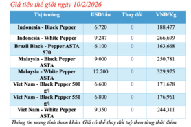 Giá tiêu hôm nay 10/2/2026: Tạm chững