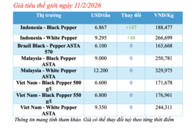 Giá tiêu hôm nay 11/2/2026: Tăng nhẹ 500 đồng/kg
