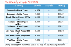 Giá tiêu hôm nay 13/2/2026: Giảm nhẹ vài nơi