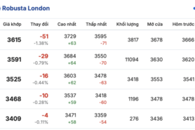Giá cà phê hôm nay 23/2/2026: Rớt giá mạnh, sụt giảm đến 4.000 đồng/kg