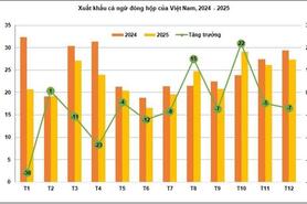 Xuất khẩu cá ngừ đóng hộp Việt Nam năm 2026 và cơ hội mở thị trường
