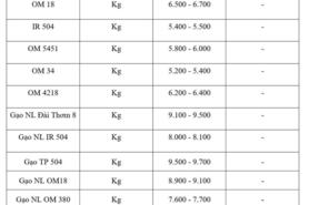 Giá lúa gạo hôm nay ngày 24/2/2026: Gạo xuất khẩu tăng giảm trái chiều