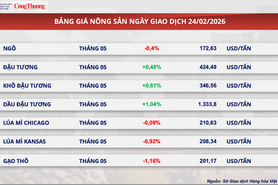 Giá đậu tương tăng tới gần 0,5% lên mức 424,5 USD/tấn
