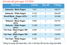 Giá tiêu hôm nay 3/3/2026: Giảm sâu