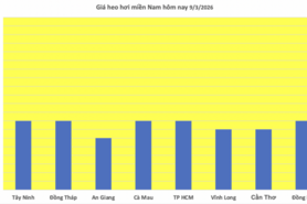Giá heo hơi hôm nay 9/3/2026: Đang trên đà giảm