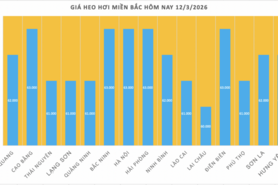 Giá heo hơi hôm nay 12/3/2026: Biến động trái chiều