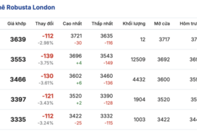 Giá cà phê hôm nay 12/3/2026: Thị trường trong nước giảm nhẹ