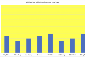 Giá heo hơi hôm nay 13/3/2026: Biến động trái chiều