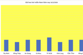 Giá heo hơi hôm nay 16/3/2026: Cao nhất đạt mốc 66.000 đồng/kg
