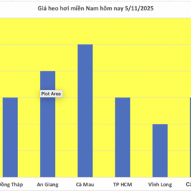 Giá heo hơi hôm nay 5/11/2025: Không ghi nhận đợt điều chỉnh mới