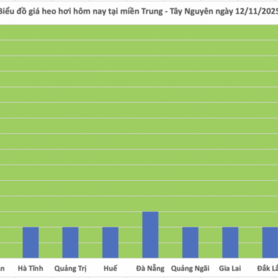 Giá heo hơi hôm nay 12/11/2025: Tiếp tục giảm nhẹ nhiều nơi