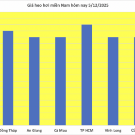 Giá heo hơi hôm nay 5/12/2025: Tiếp tục lập đỉnh mới