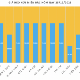Giá heo hơi hôm nay 25/12/2025: Tiếp đà tăng miền Nam và miền Trung
