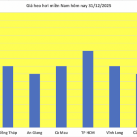 Giá heo hơi hôm nay 31/12/2025: Diễn biến trái chiều