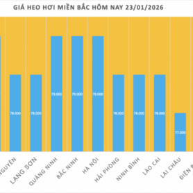 Giá heo hơi hôm nay 23/1/2026: Lên mốc 79.000 đồng/kg
