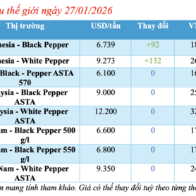 Giá tiêu hôm nay 27/1/2026: Tăng rải rác