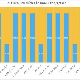 Giá heo hơi hôm nay 3/2/2026: Giảm mạnh trên cả nước