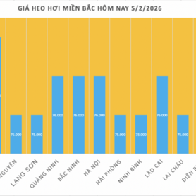 Giá heo hơi hôm nay 5/2/2026: Giảm diện rộng
