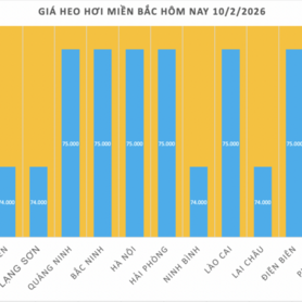 Giá heo hơi hôm nay 10/2/2026: Tiếp đà giảm diện rộng
