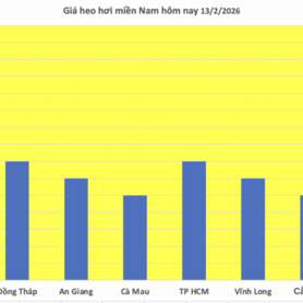 Giá heo hơi hôm nay 13/2/2026: Thị trường trầm lắng