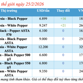 Giá tiêu hôm nay 25/2/2026: Giảm nhiều nơi