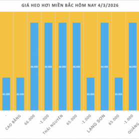 Giá heo hơi hôm nay 4/3/2026: Giảm tại miền Bắc và miền Trung