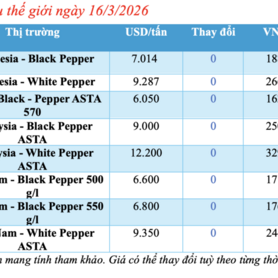Giá tiêu hôm nay 16/3/2026: Dao động từ 142.500 - 144.500 đồng/kg