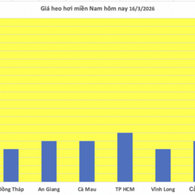 Giá heo hơi hôm nay 16/3/2026: Cao nhất đạt mốc 66.000 đồng/kg