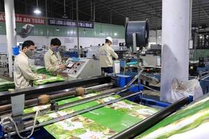 Ngành hàng bao bì: Đón cơ hội bứt tốc