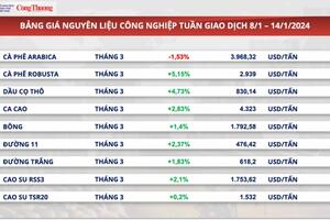 Giá xuất khẩu cà phê Robusta quay về vùng giá cao nhất 28 năm