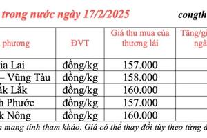 Giá tiêu hôm nay 17/2/2025, trong nước duy trì ổn định