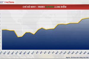 Giá cà phê Robusta giảm nhẹ về mức 5.717 USD/tấn