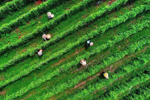 Cởi "nút thắt" trong Luật Phá sản cho khu vực kinh tế HTX