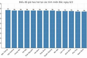 Giá heo hơi hôm nay 6/3/2025: Miền Nam lập đỉnh mới