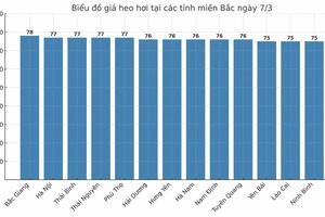 Giá heo hơi hôm nay 7/3/2025: Nhiều tỉnh đồng loạt tăng giá