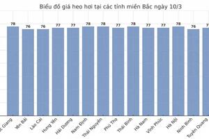 Giá heo hơi hôm nay 10/3/2025: Giữ đỉnh 83.000 đồng/kg