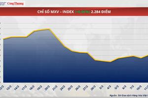 Giá cà phê Robusta giảm về mức 5.508 USD/tấn