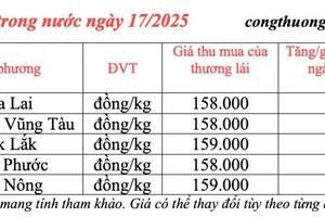 Giá tiêu hôm nay 17/3/2025 trong nước 'neo' mức cao