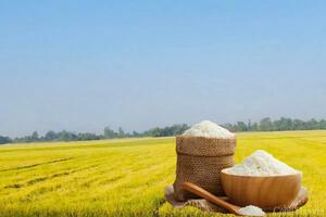 Giá lúa gạo hôm nay ngày 18/3: Gạo xuất khẩu tăng nhẹ