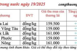 Giá tiêu hôm nay 19/3/2025 trong nước duy trì đà tăng