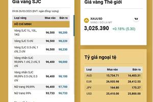 Giá vàng hôm nay tăng cao, có nên mua vàng đầu tư?