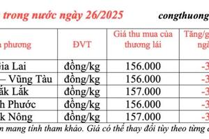 Giá tiêu hôm nay 26/3/2025 trong nước quay đầu giảm mạnh