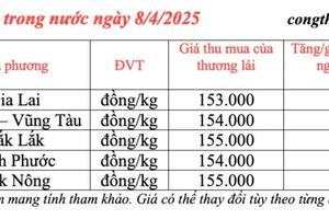 Giá tiêu hôm nay 8/4/2025, thị trường duy trì bình ổn