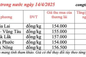 Giá tiêu hôm nay 14/4/2025, trong nước thị trường giữ mức cao