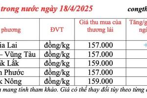 Giá tiêu hôm nay 18/4/2025, trong nước cao nhất 159.000 đồng/kg