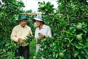 Nông thôn Bắc Tân Uyên thêm mới, nông dân thêm ấm no