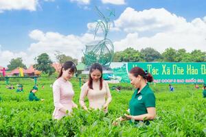 Thái Nguyên: 4 sản phẩm OCOP đạt 5 sao cấp quốc gia