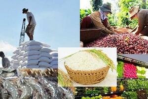 Xuất khẩu nông, lâm, thủy sản 5 tháng đầu năm tăng 15,1%, châu Á là thị trường lớn nhất